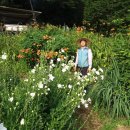 맑은사람들 이미지