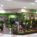 플러스화원 이미지