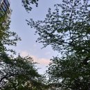 방배 왕십리 중앙곱창 이미지