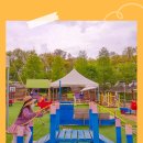 펠리시떼 이미지