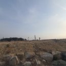 월송정 이미지
