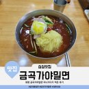 금창초등학교 | 부산 금곡가야밀면 지나가다가 먹은 후기(faet. 버스기사들)