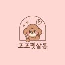 포포펫살롱 이미지