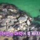 고성슈퍼 이미지