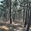 환호공원 이미지