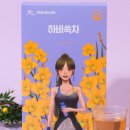 더하비 이미지