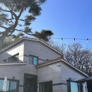 스테이샬롬 | 청도 펜션 스테이샬롬 청도 가성비 단체독채 여행 대구 부산 울산 근교 독채펜션