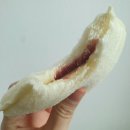 요거샌드 이미지