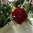 라이또PC방 공릉본점 | 음식, 부케 액자💐, 팔당닭발 오징어 밀키트, 짜장 짬뽕 만들기, 엽떡, 시청역 아리연, 공릉숲길커피축제)