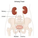 [평산 소식] 평산리에 관광버스들이 오는 이유는 자랑할 목적?