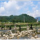 메밀꽃필무렵 이미지