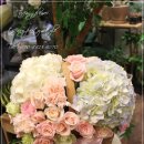 봄여성병원꽃배달 출산선물로 배송된 고급꽃바구니 이미지