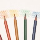 서양화 초급 이미지