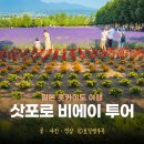 풍요로(서) | 비에이 투어 삿포로 비에이투어 후라노비에이 투어 추천 후기 버스 투어 팁 예약