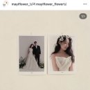 무진가든 | w. 맘에드는 플디를 찾아서 ..(메이아이플라워, 가든에이, 로즈앤모어) 계약 👌🏻