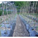 관우농장 이미지