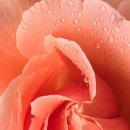 하늘연못 이미지