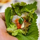 포항싱싱 이미지