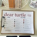 디어터틀(dear turtle) 이미지