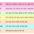 바디움플라잉요가;필라테스