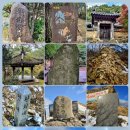 천관산동백숲주차장 | 147. 한국 500대명산 129. 천관산(天冠山)...