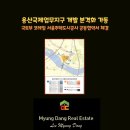 국제업무지구부동산공인중개사사무소 이미지