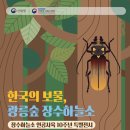 장수하늘소 - 달성군 비슬로468길 85 | 장수하늘소