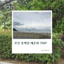 한다음수퍼 | 부산 해운대 동백섬 산책 파라다이스호텔 테슬라 수퍼차저 주차 후기