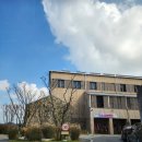 이준호농장 | 고창 상하농원 파머스빌리지 패밀리룸 후기(정원뷰 팁)