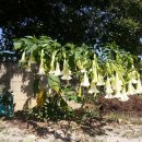 (주)위박건축 이미지