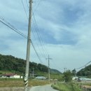 꼬꼬랑 강정 | [영월 캠핑장] 꼬꼬토피아 캠핑장/18 사이트 후기 /로즈마리펜션 /내돈내산 /캠핑요리(차돌육회쌈...