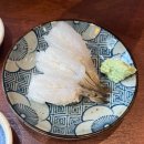 마시토 | 대구 침산동 가성비 맛집 스시마시토 냉모밀 후기