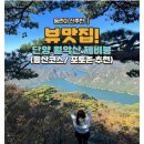[가을산추천] 충북 단양 월악산 제비봉 ! 월악산 국립공원 산행코스 및 포토존 (Feat.가을단풍, 호수뷰...
