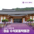청송수석꽃돌박물관 | 자연이 그려낸 꽃, 청송 수석꽃돌박물관
