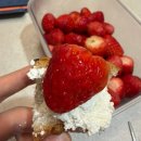 어울림무료급식소 | 익선동 맛집 빵집 문화제빵 후기