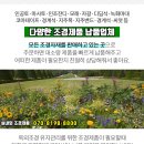 진명자동차공업사 이미지