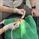 투명한 치과기공소 이미지