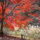 64호매표소 | 보은 속리산 법주사는 가을에 가야 제맛