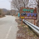 성수면 야구장 Daum카페