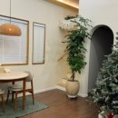 제주서이 이미지