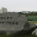 우로지 자연숲 공원(메타세쿼이아길) 이미지