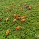 종식목장 이미지