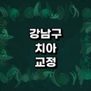 서울 강남구 치아교정 잘하는 전문치과 병원 추천 | 비용 후기 설측교정 돌출입 앞니 투명 무턱 부분...