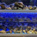 서초당약국 이미지