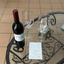 [공지] 4월 이탈리아 8박10일 신혼여행 프롤로그🇮🇹 | 날씨, 경비, 숙소, 맛집, 교통 모든 것