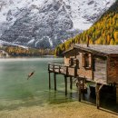 Sleek Line PT 이미지