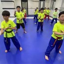 계명대태양태권도2관 | 대봉동 삼덕동 수 태권도 초등부 스토리