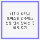 피렌체 오피스텔 | 해운대 피렌체 오피스텔 입주청소 전문 업체 잘하는 곳 비용 후기