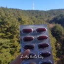 (주)다인아이디