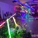 블랙마켓 이미지